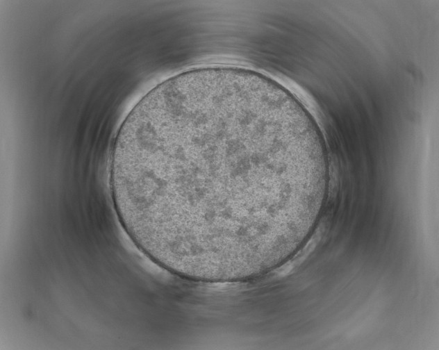 X0000111471390200908241332