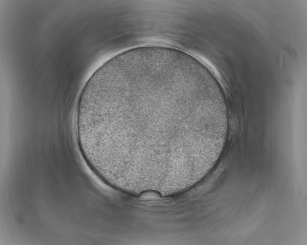 X0000111471391200908241332