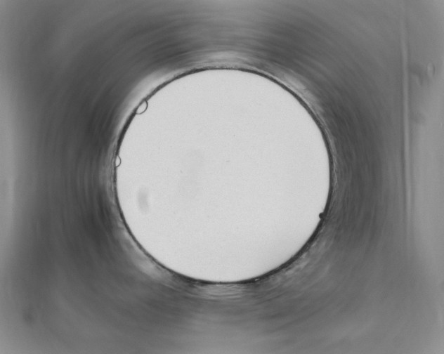 X0000111471392200908241332