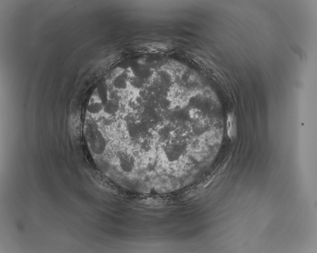 X0000111471395200908241331