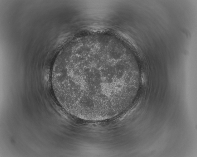 X0000111471396200908241331