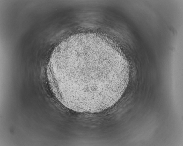 X0000111471397200908241331