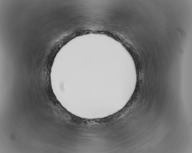 X0000111471398200908241332