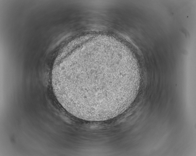 X0000111471399200908241332