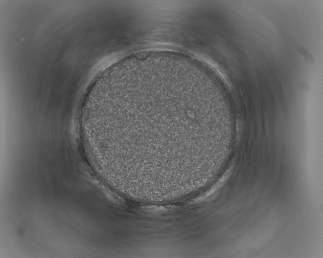 X0000111471405200908241332