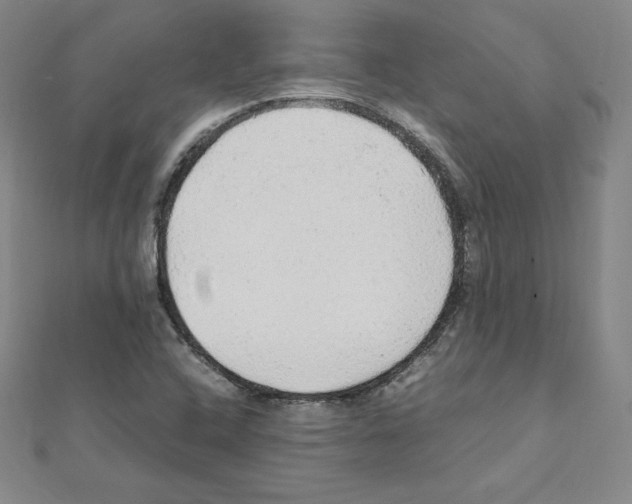 X0000111471408200908241332