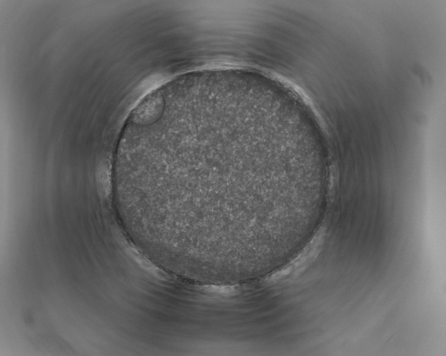 X0000111471409200908241332