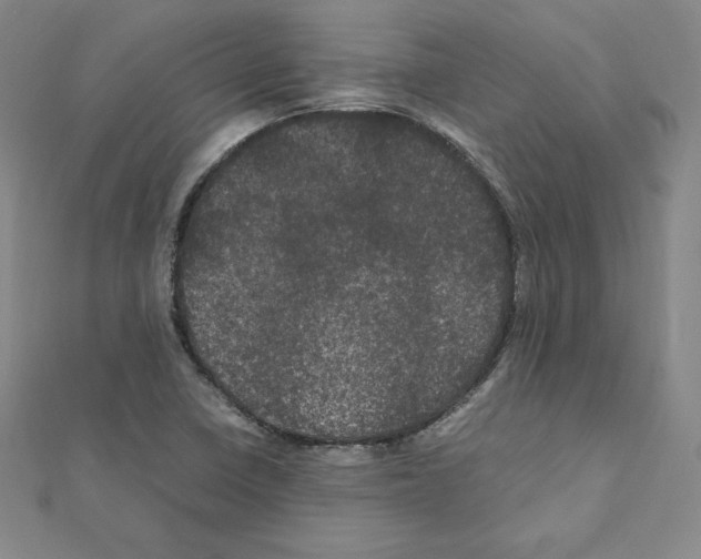 X0000111471410200908241332