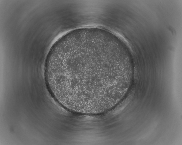 X0000111471412200908241332