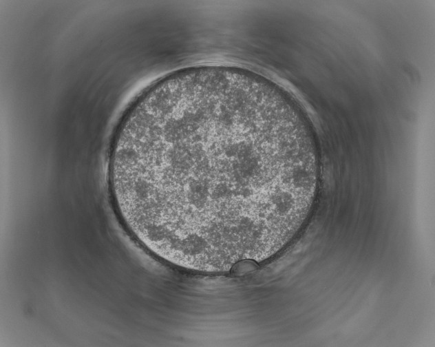 X0000111471416200908241332