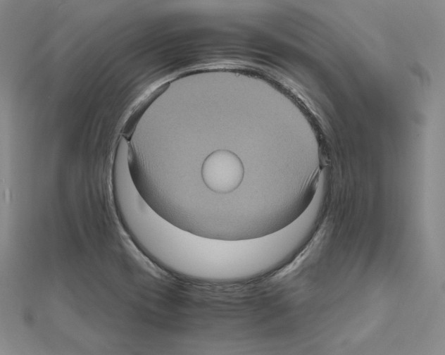 X0000111471417200908241332