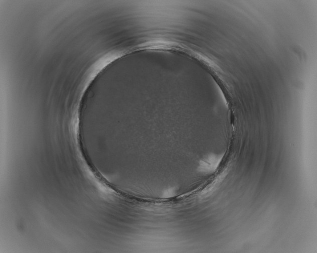 X0000111471418200908241332