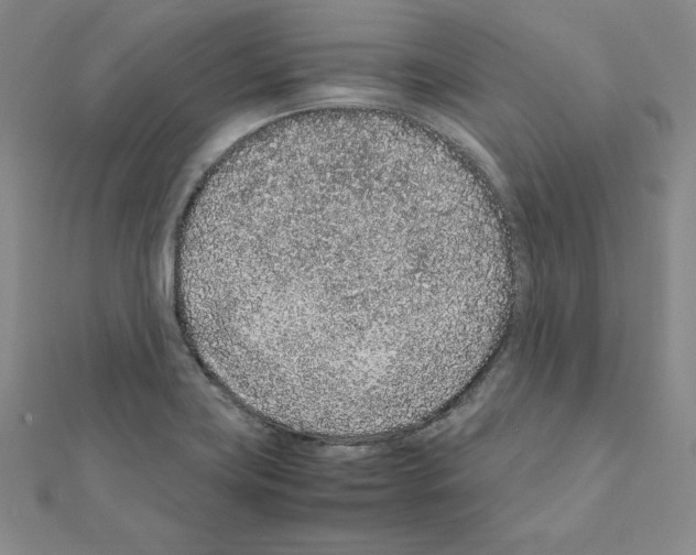 X0000111471419200908241332