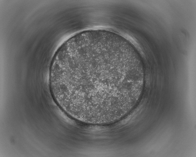 X0000111471420200908241332