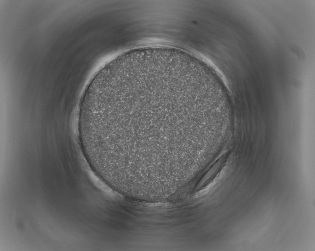 X0000111471421200908241332