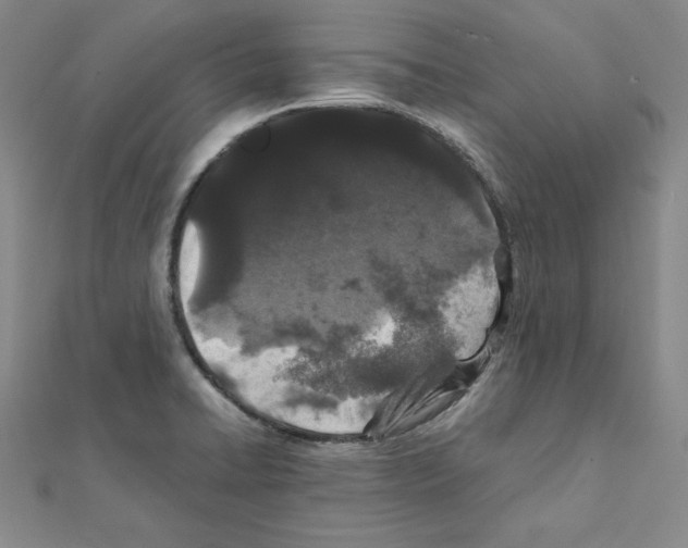 X0000111471422200908241332