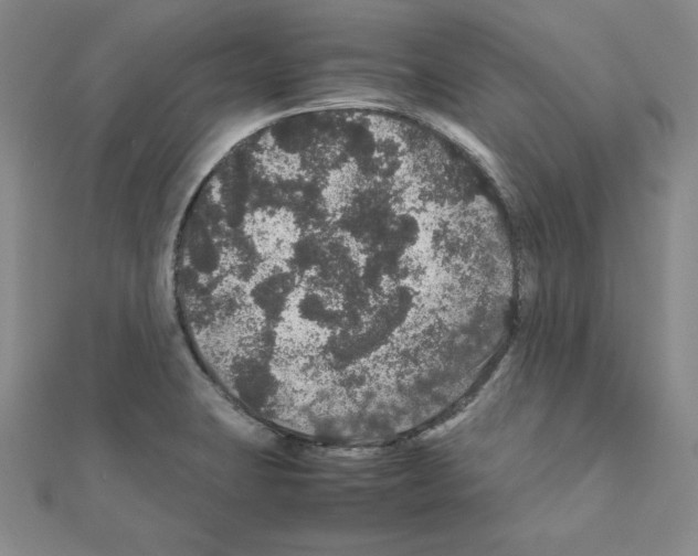 X0000111471423200908241332