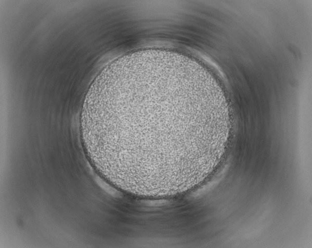 X0000111471425200908241332