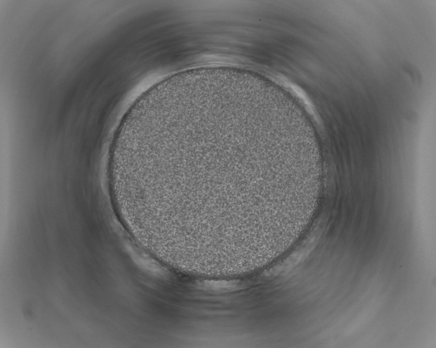 X0000111471427200908241332