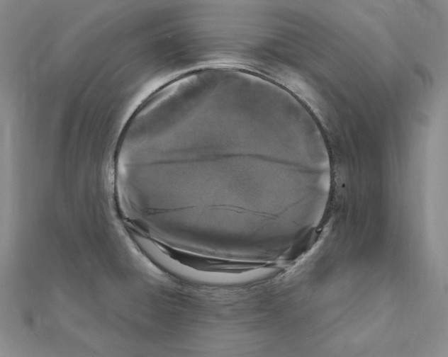 X0000111471428200908241332