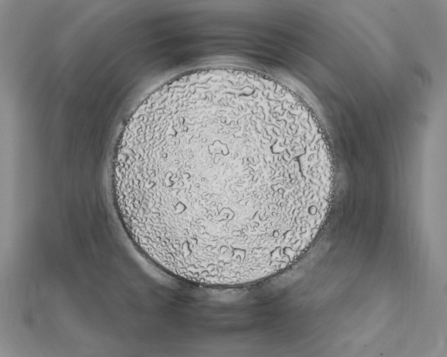 X0000111471429200908241332