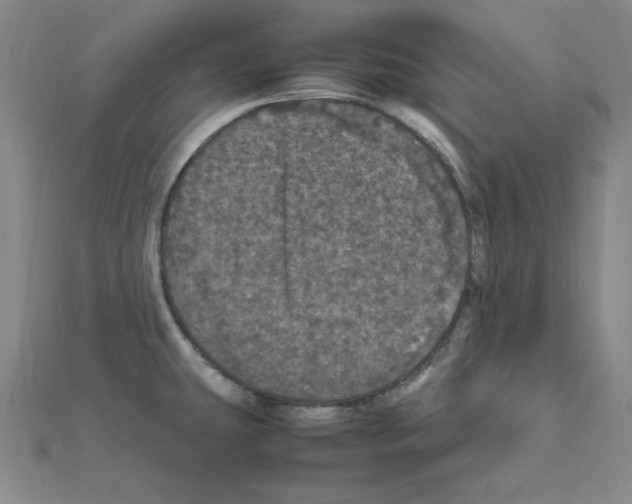 X0000111471431200908241332