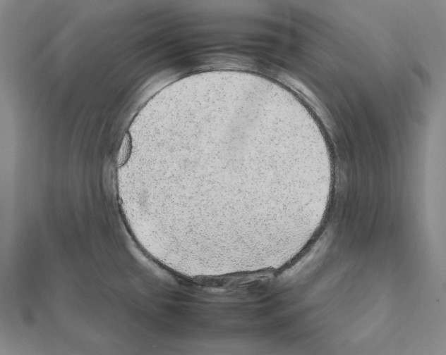 X0000111471433200908241332