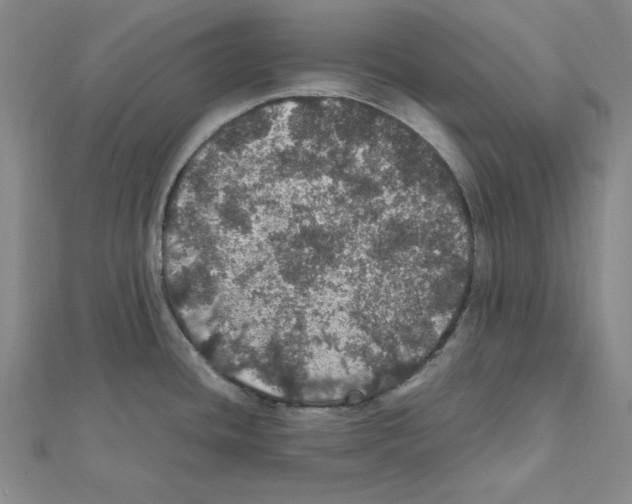 X0000111471436200908241332