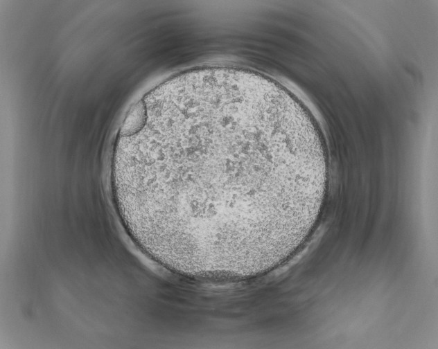 X0000111471437200908241332