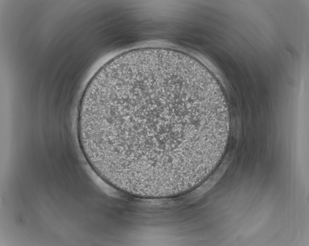 X0000111471438200908241332