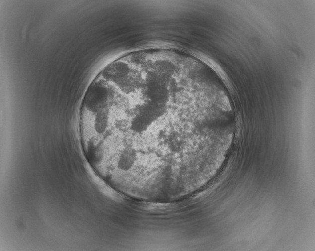 X0000111471439200908241332