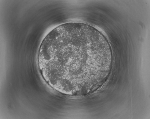 X0000111471440200908241332