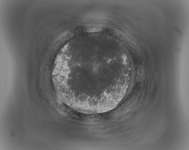 X0000111471441200908241331