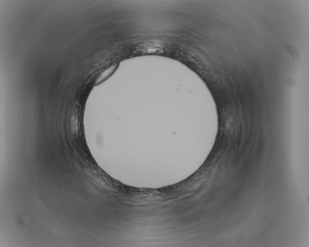 X0000111471442200908241331