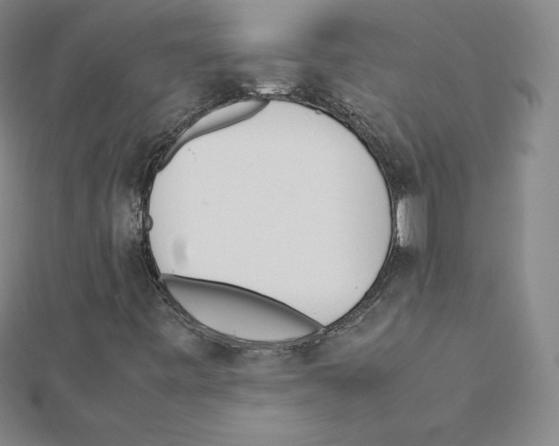 X0000111471443200908241331