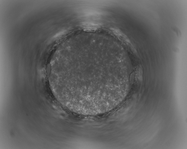 X0000111471445200908241331