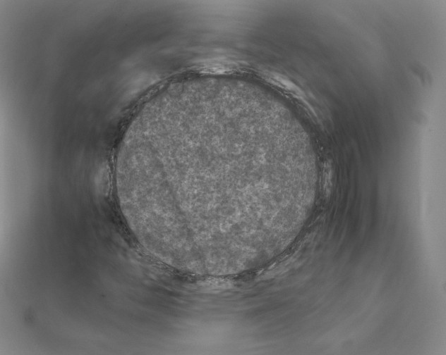 X0000111471446200908241331