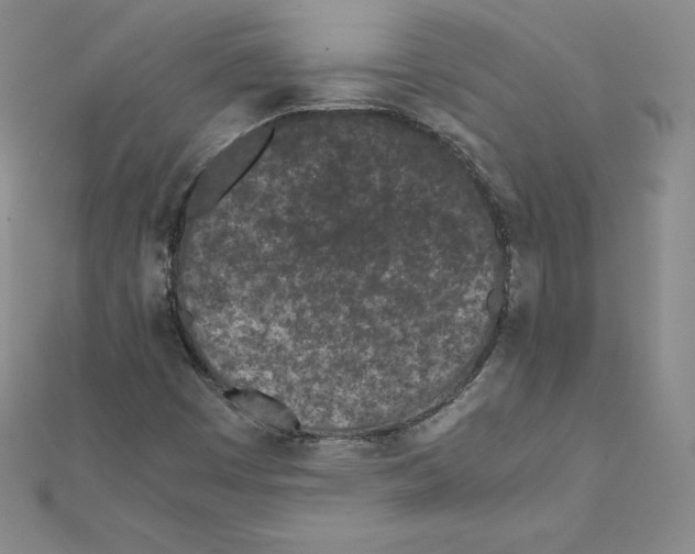 X0000111471449200908241331