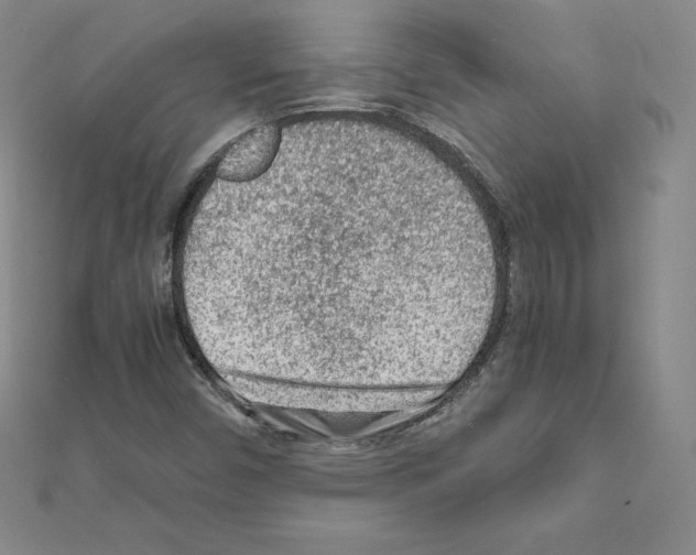 X0000111471450200908241331