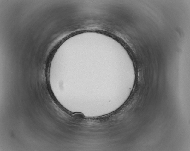 X0000111471452200908241331