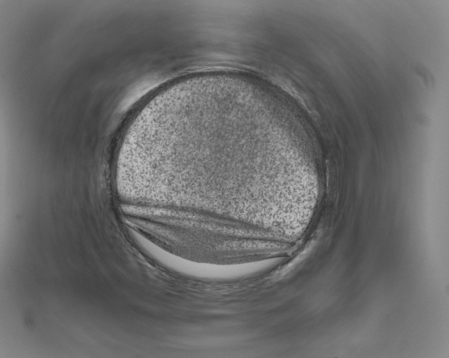 X0000111471453200908241331