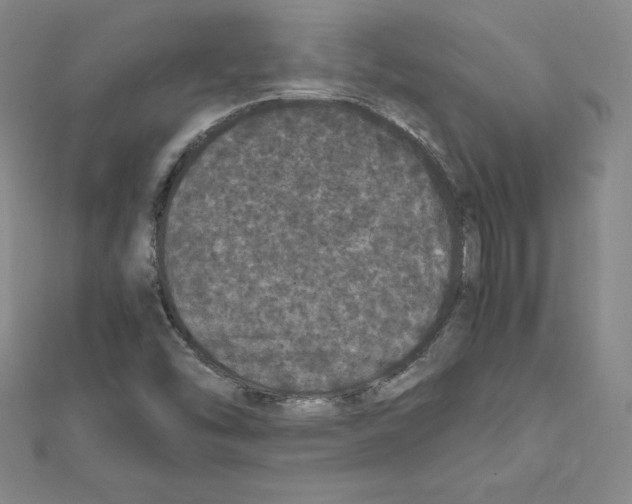 X0000111471454200908241331