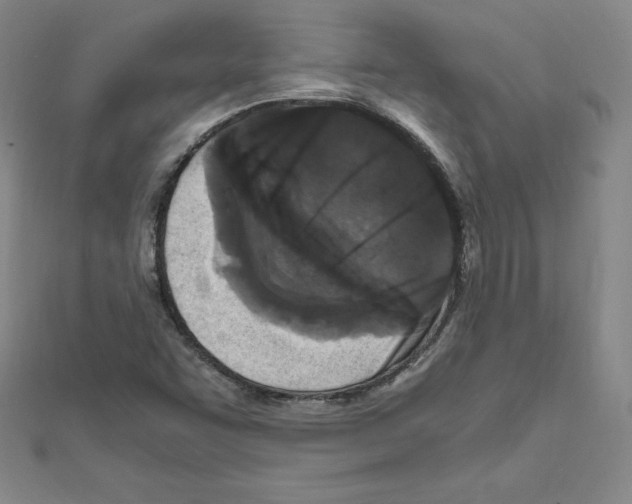 X0000111471455200908241331