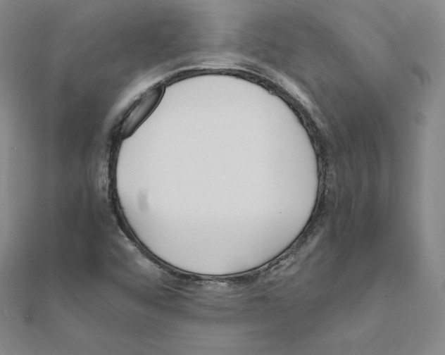 X0000111471456200908241331