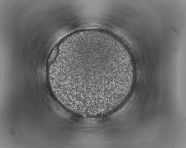 X0000111471457200908241331