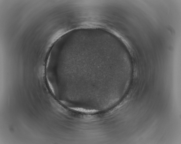 X0000111471459200908241331