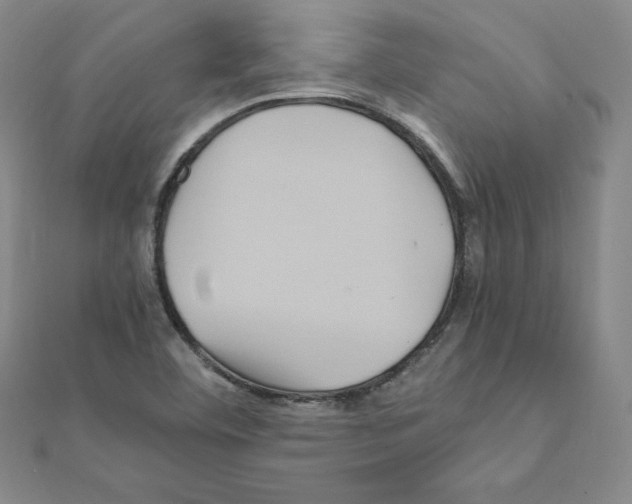 X0000111471460200908241331