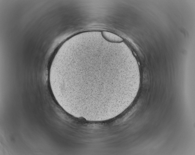 X0000111471461200908241331