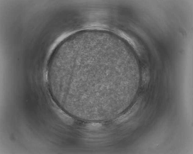 X0000111471462200908241331