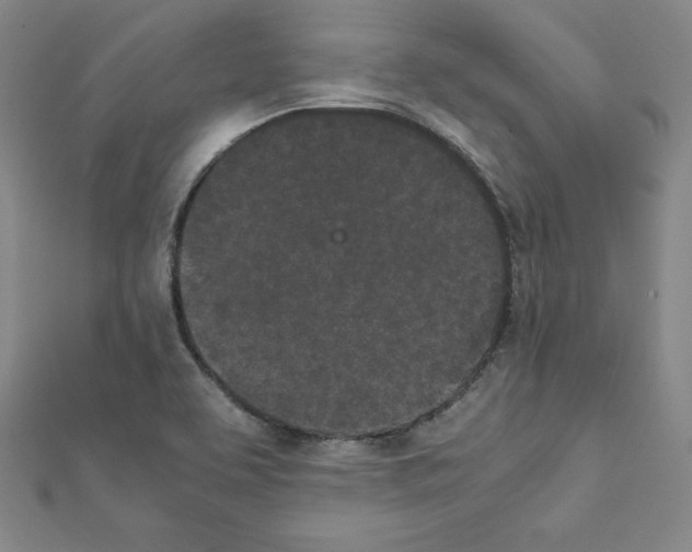 X0000111471463200908241331